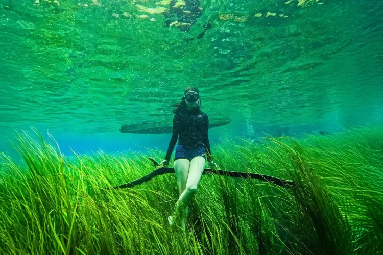 Banggai Tour Package | Luwuk Banggai Tour